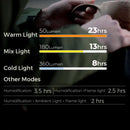 Flextail MAX LANTERN 3-in-1 Vintage Lantern with Flame 3合1復古加濕營燈