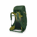 Osprey Ace 38 Kids' Backpack Green Canopy