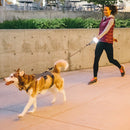 Gear Aid SPARK LED Light 90140