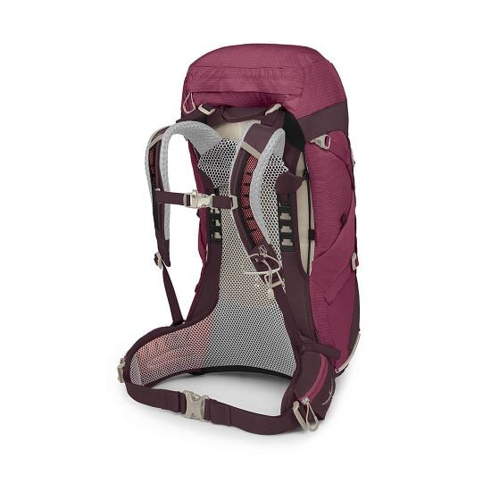 Osprey Sirrus 36 Backpack Succulent Elderberry Purple Chiru Tan