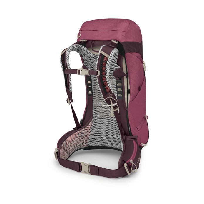 Osprey Sirrus 26 Backpack Elderberry Purple/Chiru Tan
