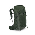 Osprey Talon™ 33 Backpack (2025 New Version) Green Canopy/Pine Leaf