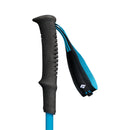 Black Diamond Distance Carbon FLZ Trekking Poles 112555 碳纖摺疊行山杖