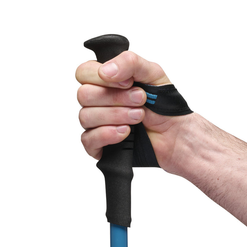 Black Diamond Distance Carbon FLZ Trekking Poles 112555 碳纖摺疊行山杖