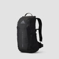 Gregory ARRIO 24 Backpack Shadow Pine Black