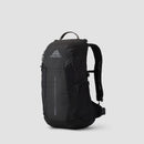 Gregory ARRIO 24 Backpack Shadow Pine Black
