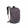 Osprey Nebula 32 Backpack Graphite Purple