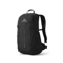 Gregory ARRIO 20 Backpack Shadow Pine Black