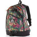 Gregory Fine Day V2 Backpack 日常背包