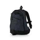 Gregory Fine Day V2 Backpack 日常背包