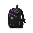 Gregory Fine Day V2 Backpack 日常背包