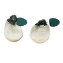 Coleman One Mantle Lantern 氣化營燈 2164001