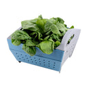 Coghlan's Snapfold™ Colander 2566 可摺疊瀝水籬