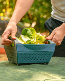 Coghlan's Snapfold™ Colander 2566 可摺疊瀝水籬