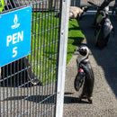 VERSUS Active Crew Socks - Save the Penguins