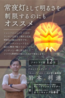 Resafe Foldable Light Shade (Compatilbe with Goal Zero Lighthouse)