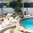 VERSUS Active Crew Socks - Save the Penguins