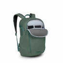 Osprey Axis 24 Backpack Pine Leaf Green