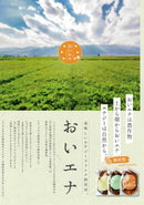 Oiena Energy Drinks 能量飲品