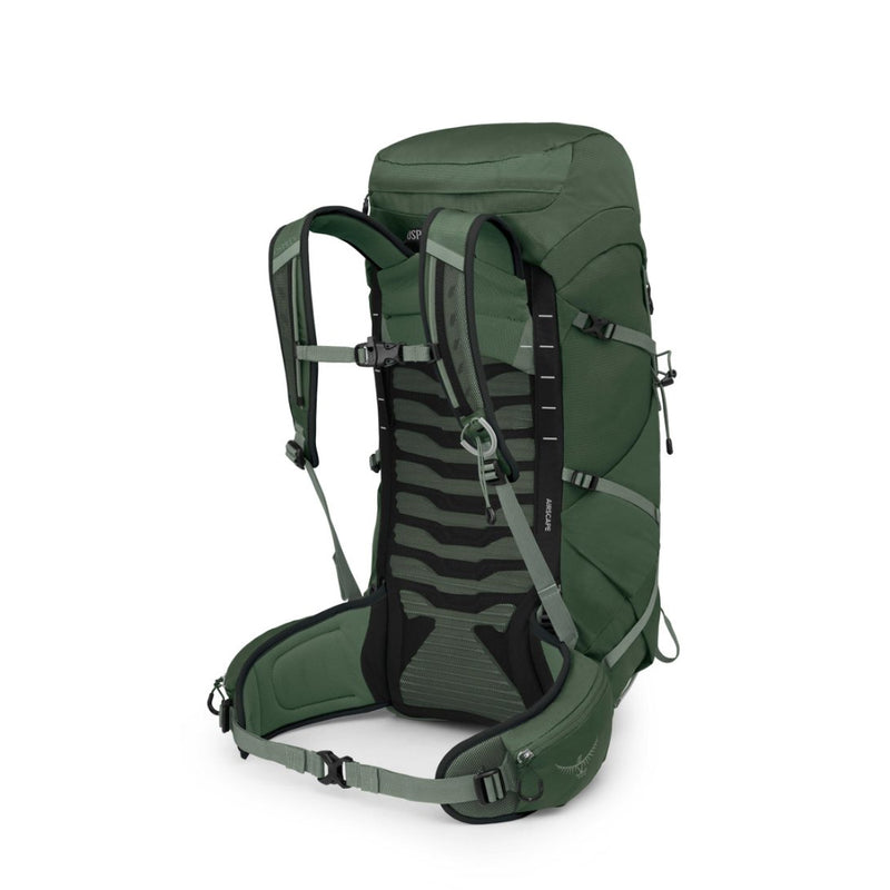 Osprey Talon™ 33 Backpack (2025 New Version) Green Canopy/Pine Leaf