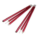 Camping Ace Aluminum Camping Pole 鋁合金天幕柱(2支)