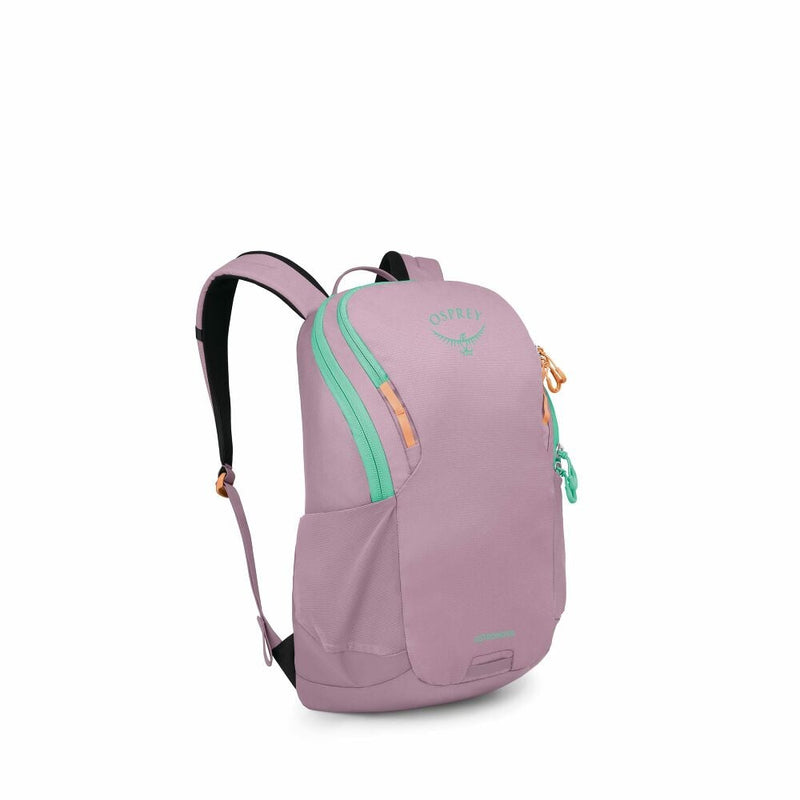 osprey astro bag Osprey Astronova Everyday Backpack