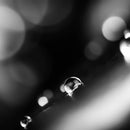 Granger's Wash + Repel Down 2-in-1 300ml 羽絨清潔洗劑