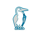 CHUMS Booby Carabiner CH62-2049-T001 Teal