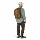 Osprey Daylite® Plus Limited Edition Histosol Brown