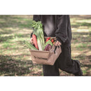 Helinox 15th Anniversary BOOK Soft Container ver. (宝島社ブランドブック)  15 週年紀念書 (附送方型軟式水桶)