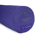 Helinox Savanna Chair 戶外高背露營椅 Cobalt/F10 Black