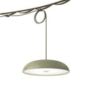 Claymore Medal 吊燈