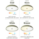 Claymore Medal 吊燈