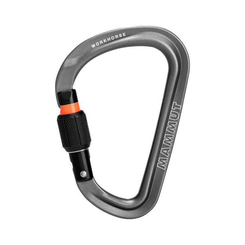 MAMMUT Workhorse HMS Screwgate Carabiner 梨形螺旋鎖登山扣