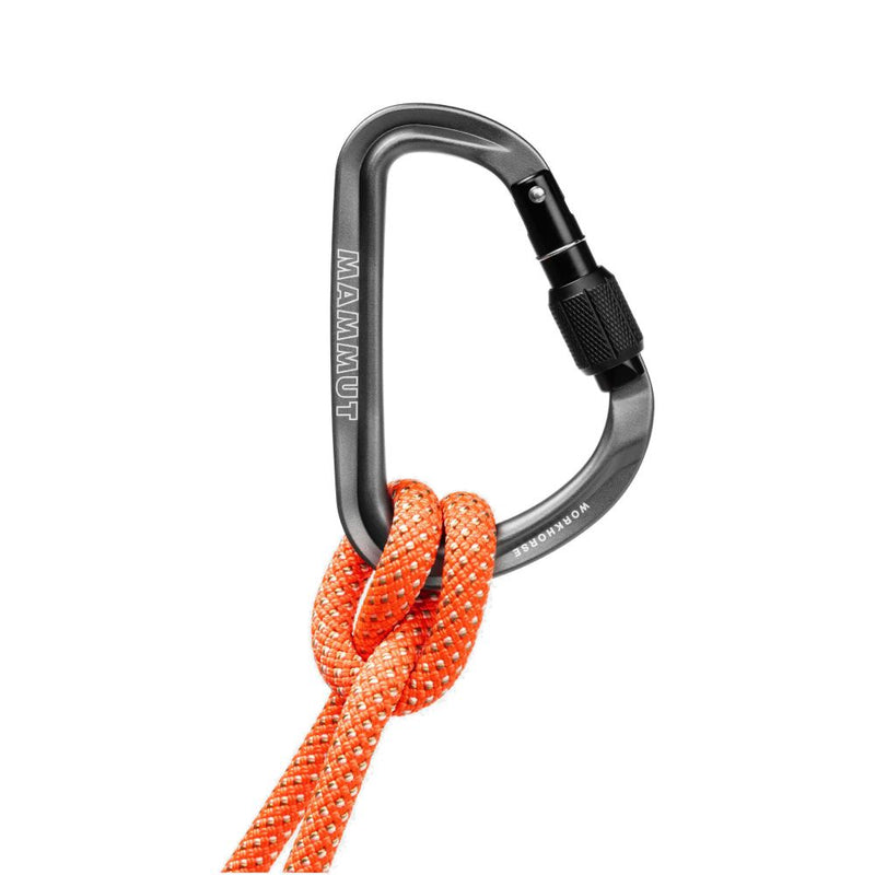 MAMMUT Workhorse HMS Screwgate Carabiner 梨形螺旋鎖登山扣