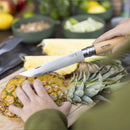 Opinel Barbecue Set 燒烤套裝連刀