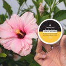 TINGERLAAT SOS Rubbing Balm 65g 急救萬用防磨擦修護膏