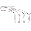 LEKI Ultra Trail Breeze Shark Gloves