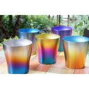 HORIE Tsubame Niigata Pure Titanium Double Tumbler 250cc T-15-A 彩色雙層鈦金屬杯