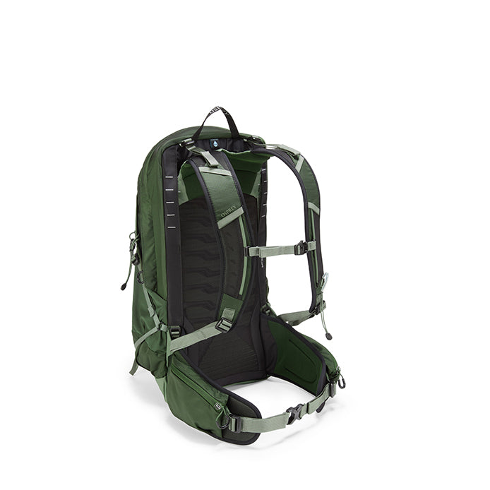 Osprey Talon™ 22 Backpack (2025 New Version) Green Canopy Pine Leaf