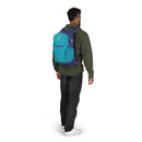 Osprey Daylite® Plus Blue Spikemoss/Alkaline
