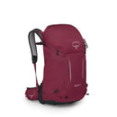 Osprey Hikelite 32 Backpack 登山背包 Chameleon/Black