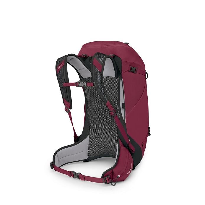 Osprey Hikelite 32 Backpack 登山背包 Chameleon/Black