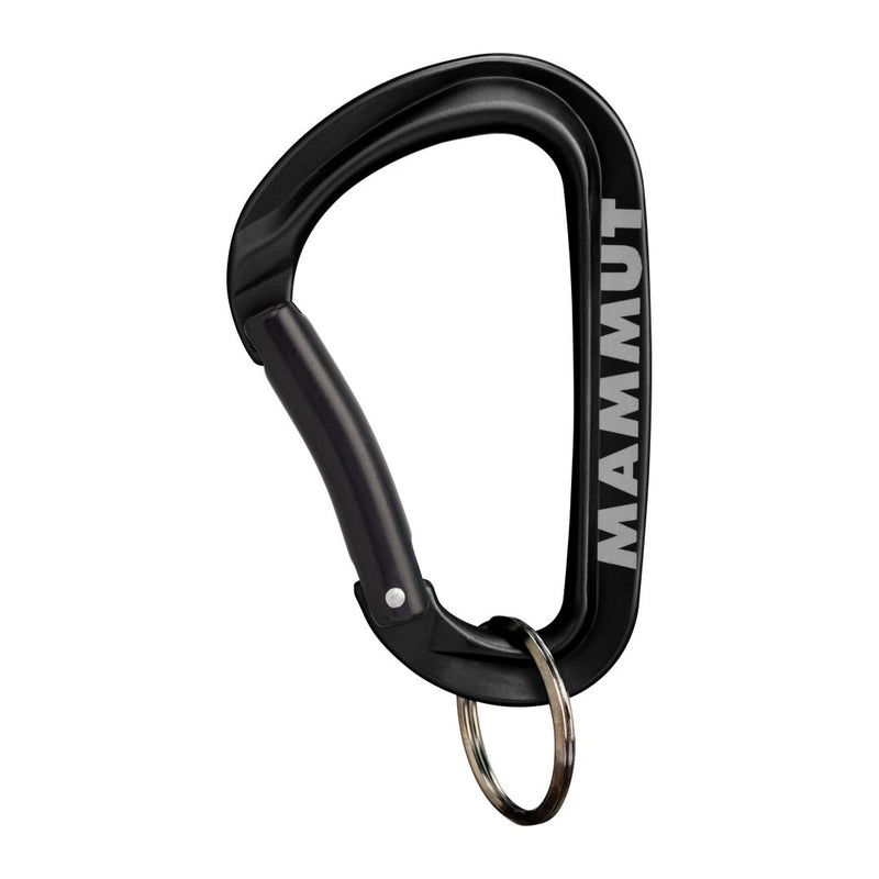 Mammut Mini Carabiner Workhorse Keylock L