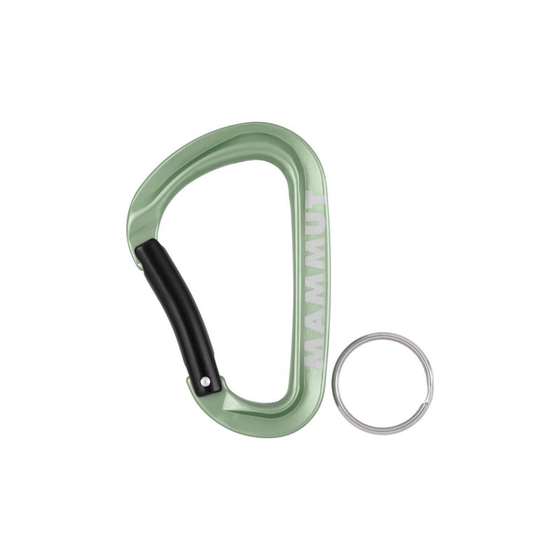 Mammut Mini Carabiner Classic Keylock S 匙扣 Green