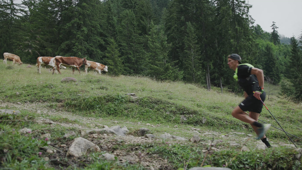 LEKI UltraTrail FX One Superlite Trail Running Poles (2026 New Version)