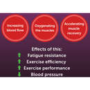 BEET IT Sport Nitrate 400 (70ml) 濃縮紅菜頭汁飲品