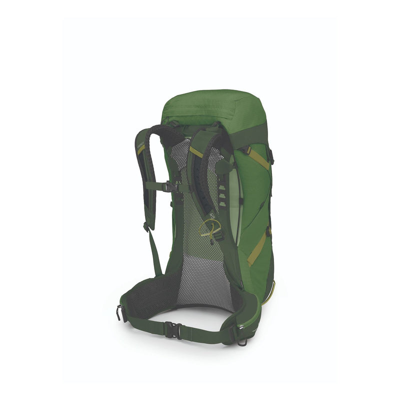 Osprey Stratos 36 Backpack Seaweed/Matcha Green