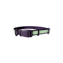 UV Paqlite Dog Collar 夜光寵物頸圈