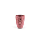 Kupilka 30 Moomin Tall Cup Moomintroll Little My Cranberry 30 松木杯 (小肥肥一族特別版)